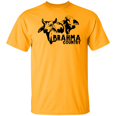 BRAHMA COUNTRY