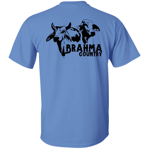 BRAHMA COUNTRY (ON BACK)